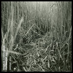 中文字幕三级久久久久久
